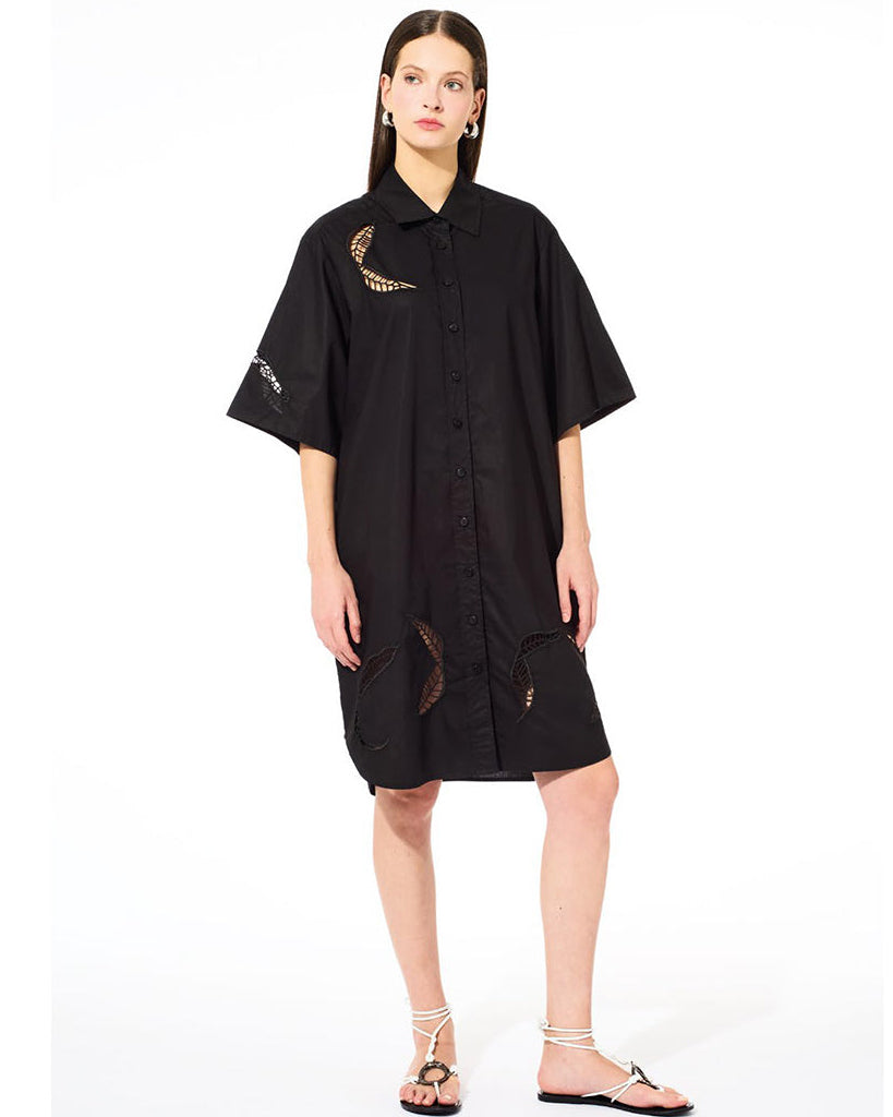 Anis Collection Milano